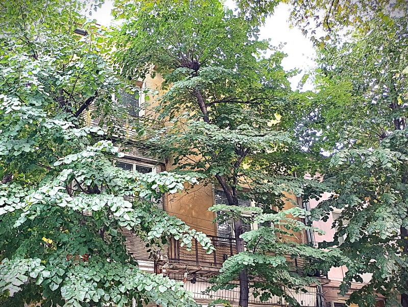 Продава  Многостаен област Пловдив , гр. Асеновград , 130 кв.м | 17885378 - изображение [2]