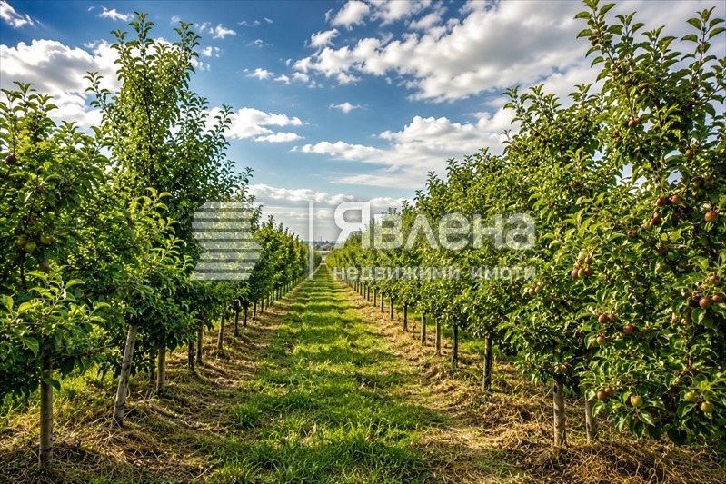 Продава ПАРЦЕЛ, с. Главиница, област Пазарджик, снимка 4 - Парцели - 55327945