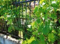 Продава 3-СТАЕН, град София, Овча купел 2 • 193000 € • 22649238 — Holmes.bg