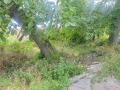 Продава ПАРЦЕЛ, град Русе, Новата махала • 33000 € • 97605866 — Holmes.bg