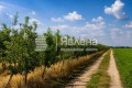 Продава  Парцел област Пазарджик , с. Главиница , 58327 кв.м | 34512051 - изображение [2]