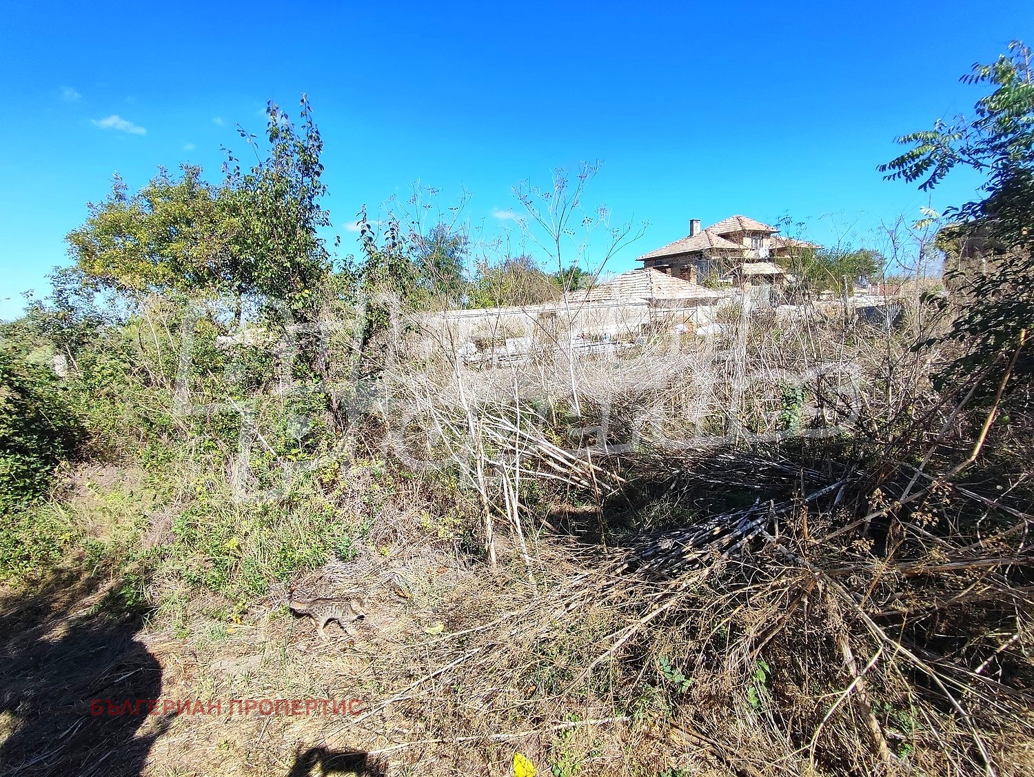 ������� ���� | Imot.bg � ����������� 14