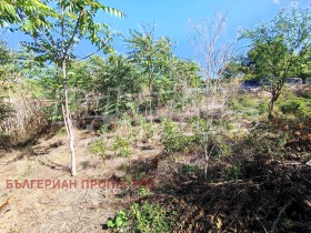 ������� ���� | Imot.bg � ����� ������ 16