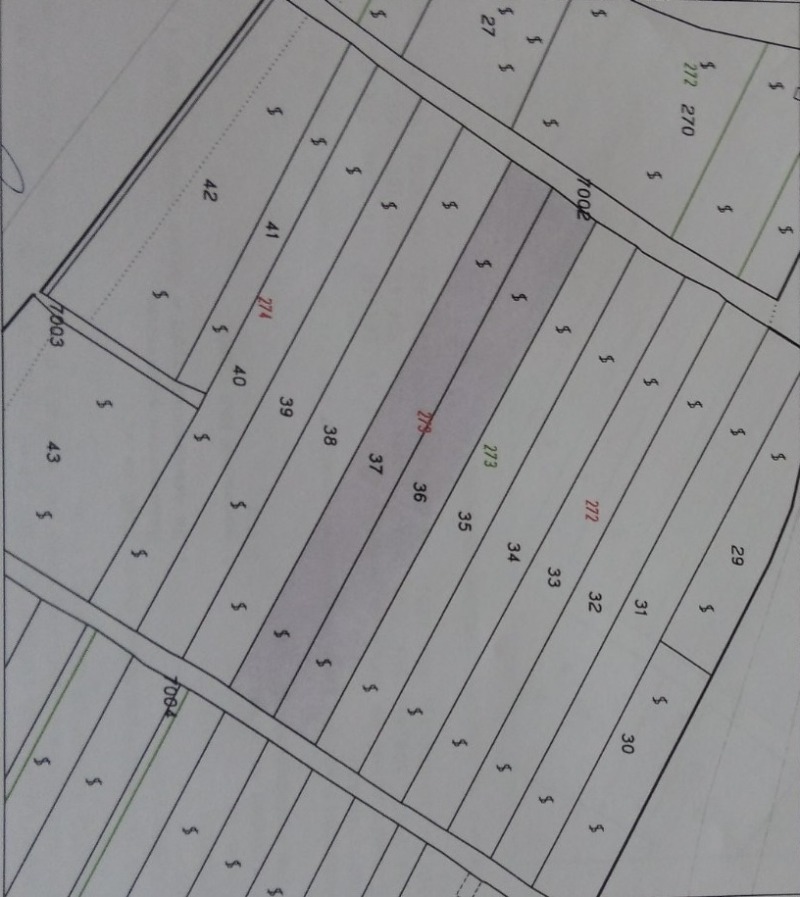 Продава ПАРЦЕЛ, с. Басарбово, област Русе, снимка 3 - Парцели - 46511057