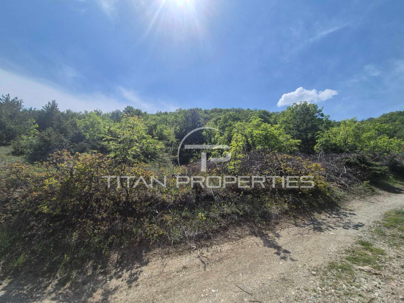 Продава  Парцел, област Пловдив, с. Белащица •  322 000 EUR • ID 84751783 — holmes.bg - [1] 