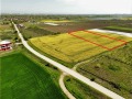 Продава ПАРЦЕЛ, област Пловдив, с. Оризари • 126000 € / 246434.58 лв. • 84829295 1