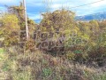 Продава ЗЕМЕДЕЛСКА ЗЕМЯ, с. Жиленци, област Кюстендил, снимка 2
