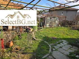 ����� ������� ����,��. �������, ������ �������