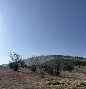 ������� ���� | Imot.bg � ����� ������ 16