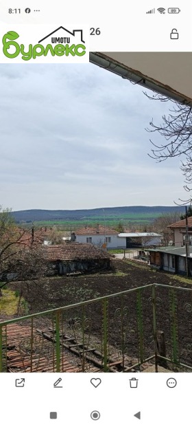 ������ ������� ����