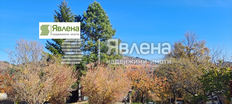 Продава ПАРЦЕЛ, с. Мала Раковица, област София област, снимка 1 - Парцели - 49364841