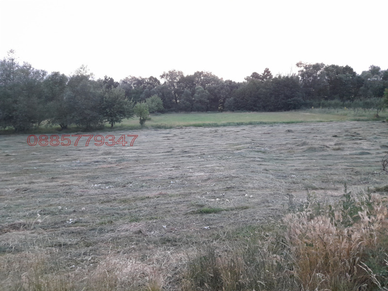 Продава ЗЕМЕДЕЛСКА ЗЕМЯ, гр. Добринище, област Благоевград