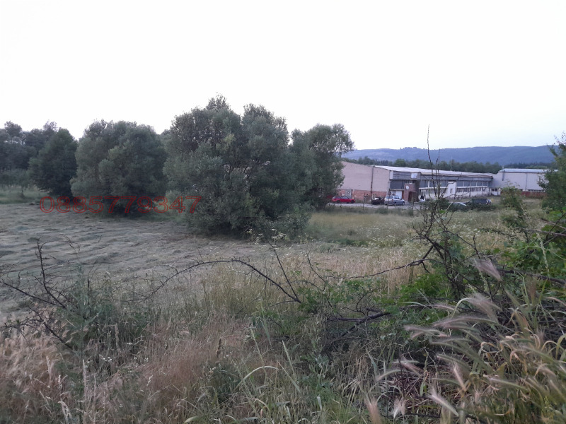 Продава ЗЕМЕДЕЛСКА ЗЕМЯ, гр. Добринище, област Благоевград, снимка 3 - Земеделска земя - 52780194