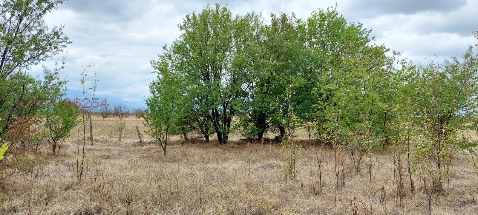 Продава ПАРЦЕЛ, с. Кочево, област Пловдив, снимка 5 - Парцели - 55773840
