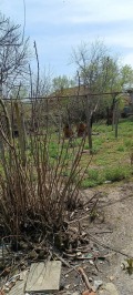 Продава КЪЩА, гр. Дългопол, област Варна, снимка 4