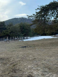 Продава ПАРЦЕЛ, област Пазарджик, яз. Батак • 275275 лв. • 65405970 — Holmes.bg