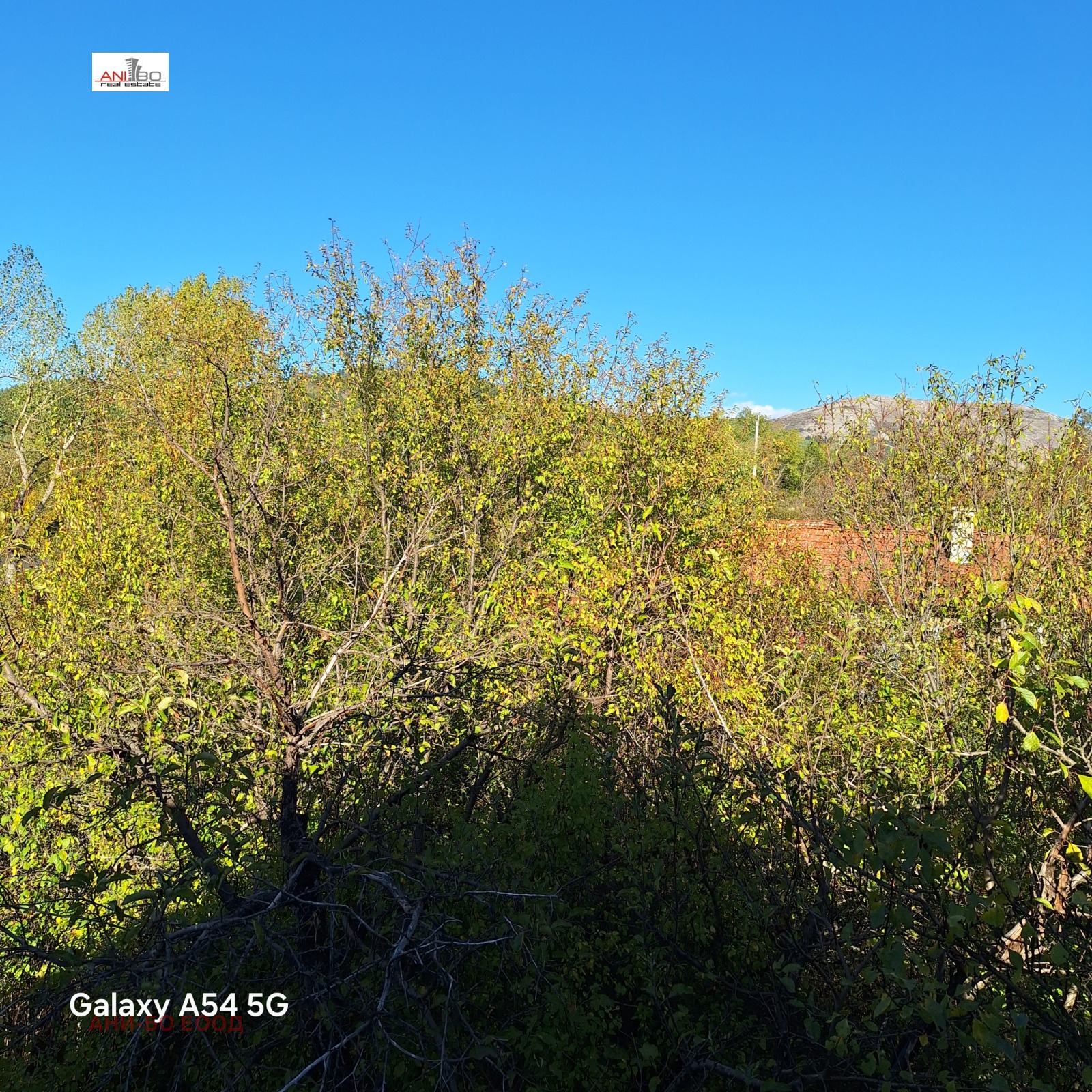 Продава КЪЩА | Imot.bg — изображение 3