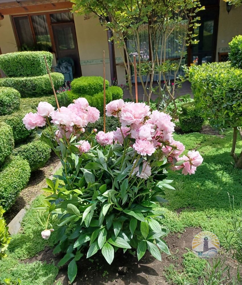 Продава КЪЩА | Imot.bg — изображение 8