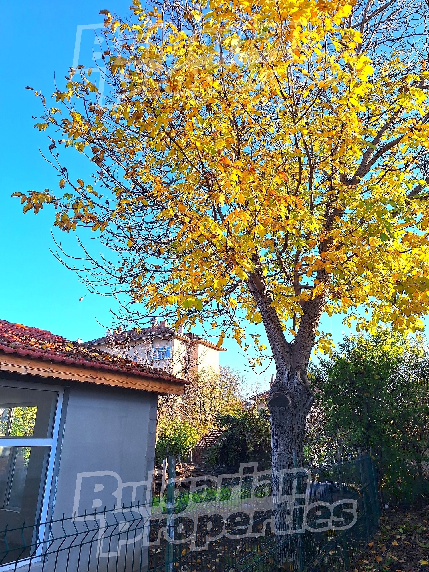 ������� ���� | Imot.bg � ����������� 12