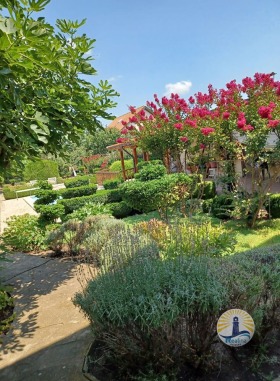 Hus Kamenar, region Burgas 10
