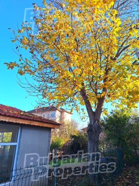 ������� ���� | Imot.bg � ����� ������ 12