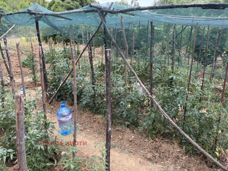 Προς πώληση  Βίλα Βρατσα , Στυδεντσκη γραδ , 45 τ.μ | 92965261 - εικόνα [5]