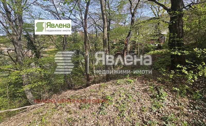 Na sprzedaż  Działka Sofia , w.z.Kiliite , 1180 mkw | 85807729 - obraz [4]