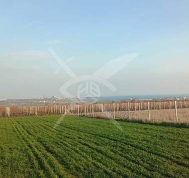 Продава ПАРЦЕЛ, с. Невестино, област Бургас