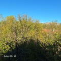 Продава КЪЩА, област София, гр. Драгоман • 60000 € • 52062314 — Holmes.bg