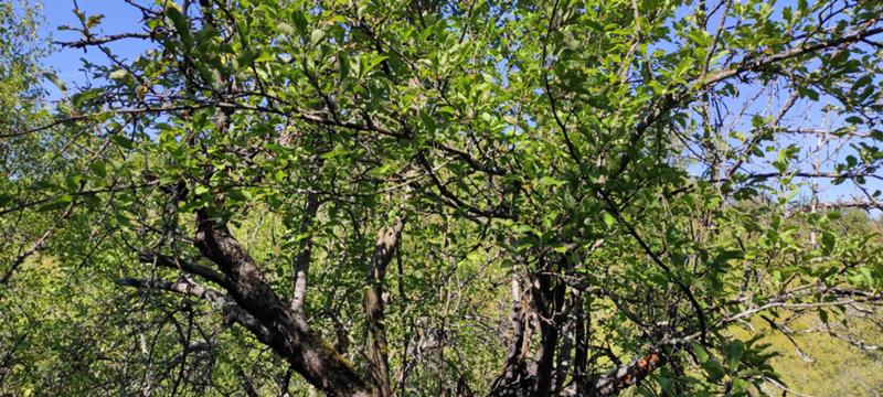 ������� ���������� ���� | Imot.bg � ����������� 8