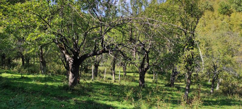 ������� ���������� ���� | Imot.bg � ����������� 5