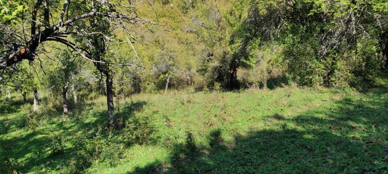 ������� ���������� ���� | Imot.bg � ����������� 13