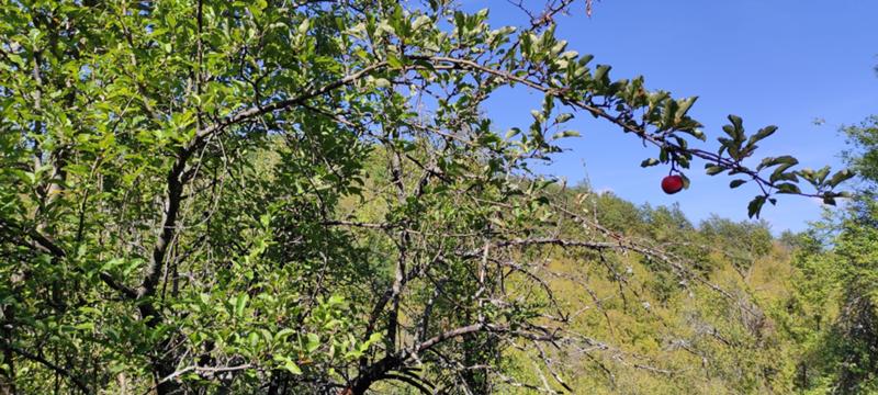 ������� ���������� ���� | Imot.bg � ����������� 12