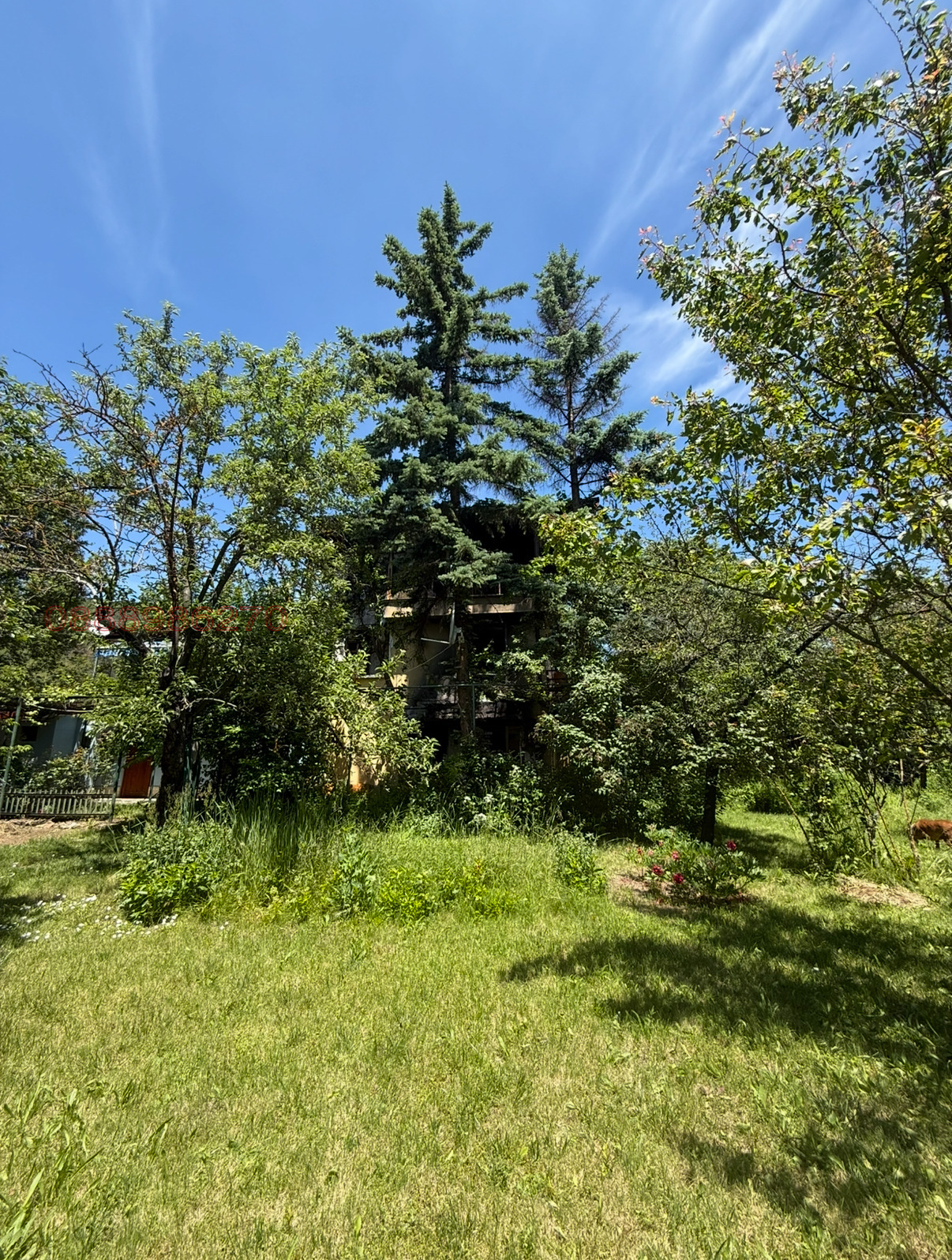 ������� ���� | Imot.bg � ����������� 8