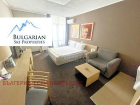 Studio Bansko, region Blagoevgrad 4