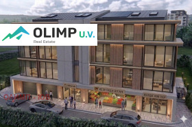 ����� ������� ������,���� �����, ���������