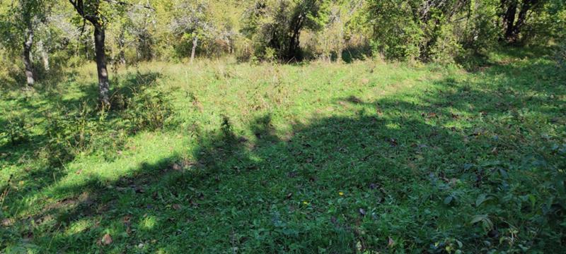 Продава ЗЕМЕДЕЛСКА ЗЕМЯ, с. Гложене, област Ловеч, снимка 14 - Земеделска земя - 54028525