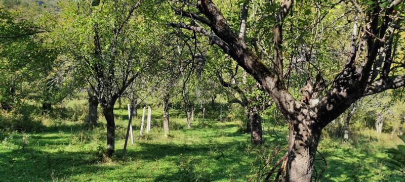 Продава ЗЕМЕДЕЛСКА ЗЕМЯ, с. Гложене, област Ловеч