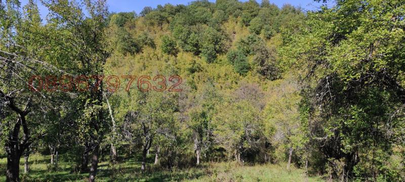 Продава ЗЕМЕДЕЛСКА ЗЕМЯ, с. Гложене, област Ловеч, снимка 2 - Земеделска земя - 54028525