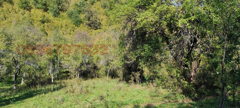 Продава ЗЕМЕДЕЛСКА ЗЕМЯ, с. Гложене, област Ловеч, снимка 3 - Земеделска земя - 54028525