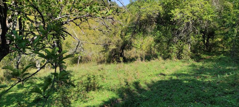 Продава ЗЕМЕДЕЛСКА ЗЕМЯ, с. Гложене, област Ловеч, снимка 10 - Земеделска земя - 54028525