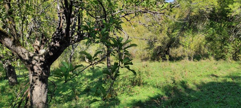 Продава ЗЕМЕДЕЛСКА ЗЕМЯ, с. Гложене, област Ловеч, снимка 9 - Земеделска земя - 54028525