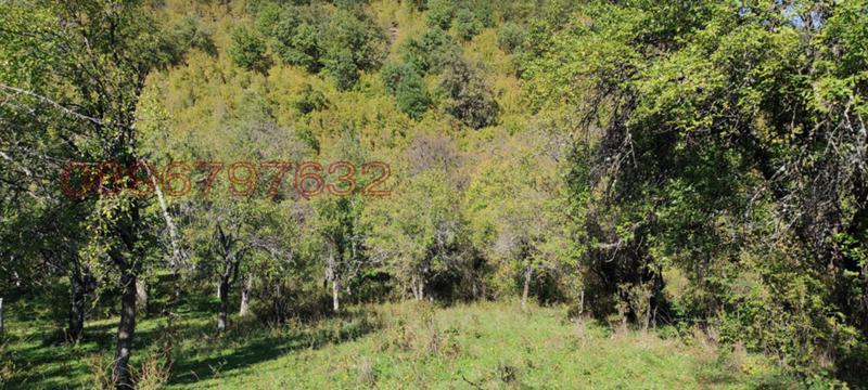 Продава ЗЕМЕДЕЛСКА ЗЕМЯ, с. Гложене, област Ловеч, снимка 4 - Земеделска земя - 54028525