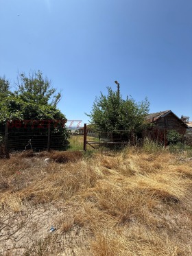 ����� ������� �����,�. ���� ������, ������ ���������