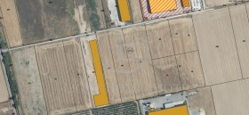 ����� ������� ������,���� �������, ������������ ���� - �����