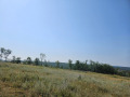 Продава ПАРЦЕЛ, област Велико Търново, с. Шереметя • 1000000 € • 90867278 — Holmes.bg