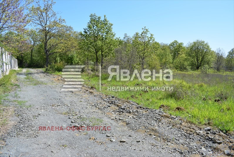 Продава ПАРЦЕЛ, с. Велика, област Бургас, снимка 4 - Парцели - 54479398
