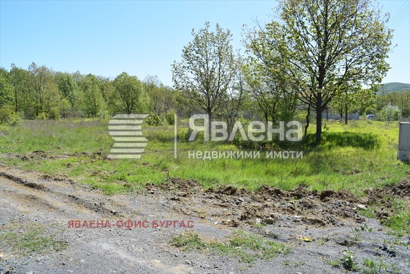 Продава ПАРЦЕЛ, с. Велика, област Бургас, снимка 3 - Парцели - 54479398