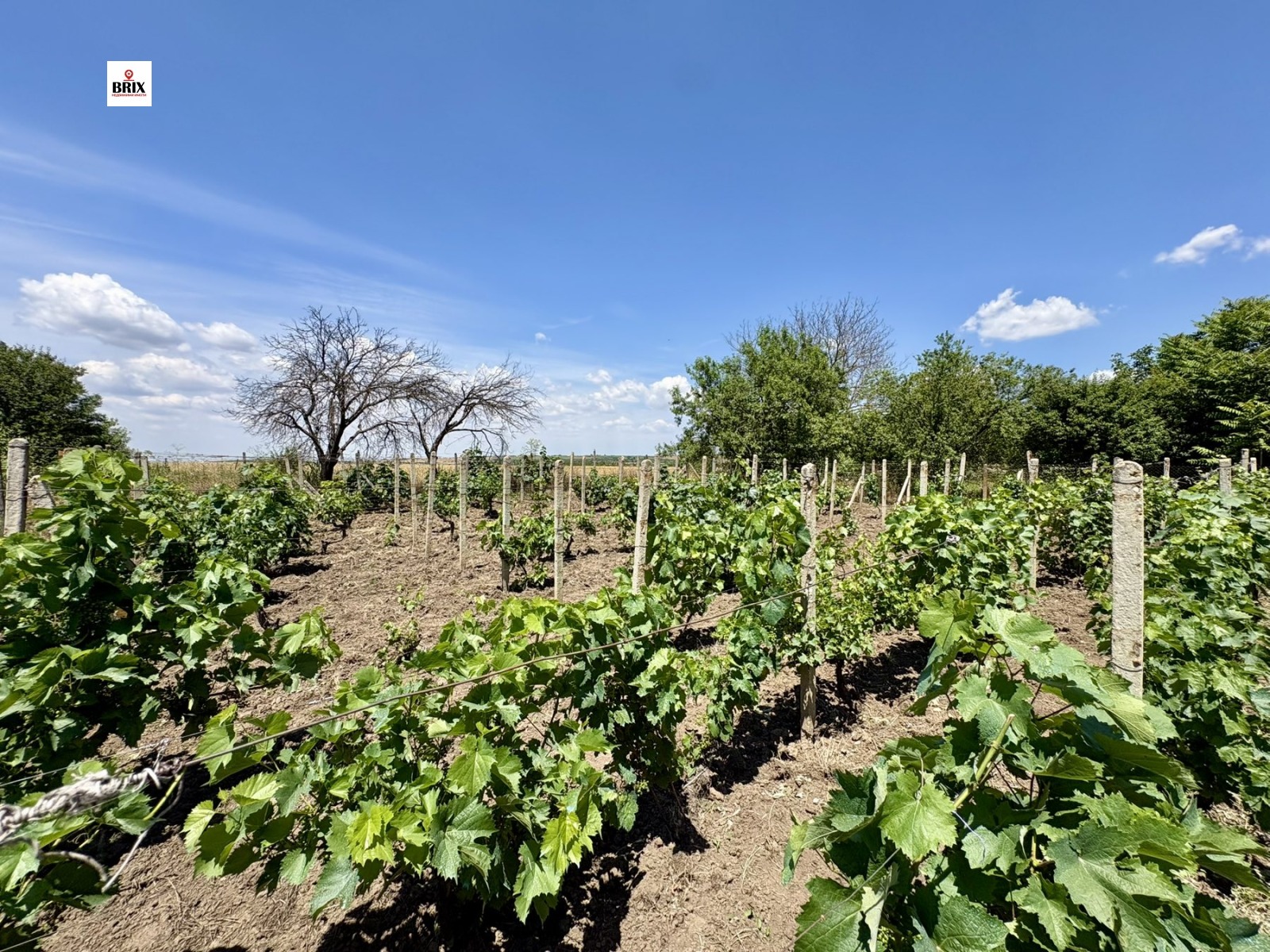 Продава КЪЩА, с. Тръстеник, област Русе, снимка 5 - Къщи - 55033717