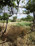 Продава КЪЩА, с. Бошуля, област Пазарджик, снимка 8
